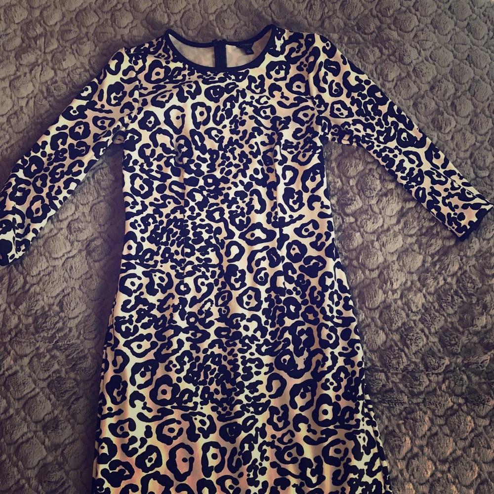 Black and White Animal Print Ann Taylor Dr…